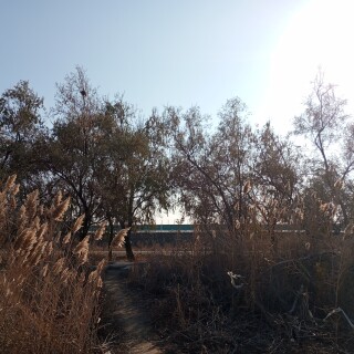 35f49b7a234413b1a37facb384b60536