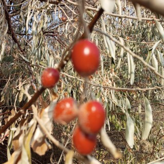 3e7a2e7ecf72a9741b58df335d018f07