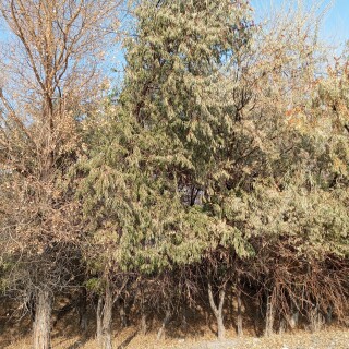 5454e506f422100ab03d249d0965f8e9