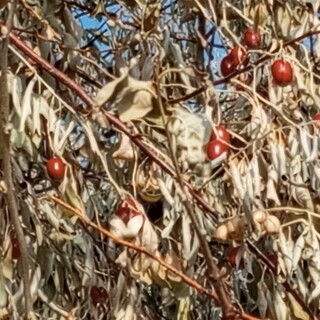 593cf0937222a6b5842986e3fccc76d2