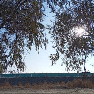 60f842553a403aa50b4152e0492619ff