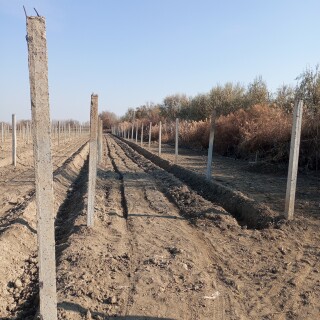 6c8bd332194288d5990e81215a9f06cc