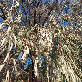 70d448a0b5d989ba2931e253989de025