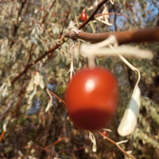 80ad95da92dcef6b43e91dff177682d4