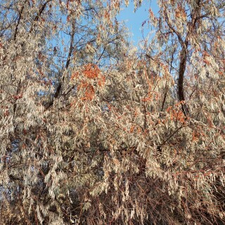 a1e843bfd5ee9da48e8695532aae7859