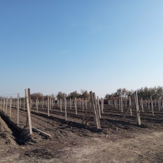 aedfffdc34015c9285a26077d59ac1a1