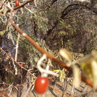 bbcde22fce7a90fae74b7d4055a1671c