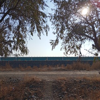 dac634c26587b2d4f69ff2cb595aabdc