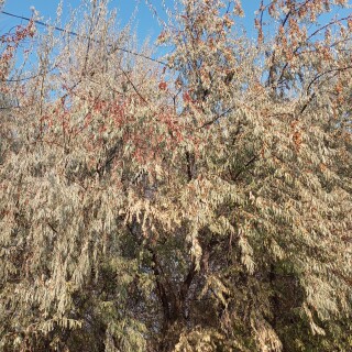 e1db62b74af22d36a2a6b3af3bfc73d9