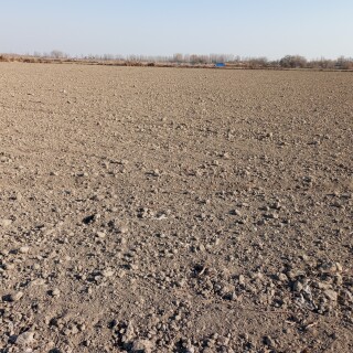 ed460c75e956effe6bac346851d1b9cb