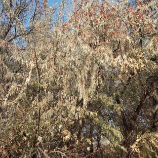 f489590d842551ea74050e2bd7ae9802