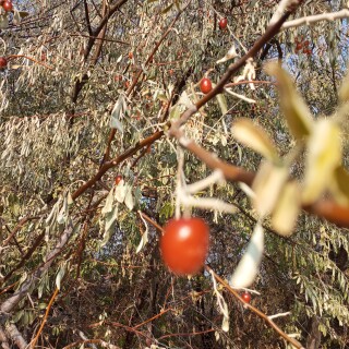 fde25961e55acbc67b4ad8525fff5774