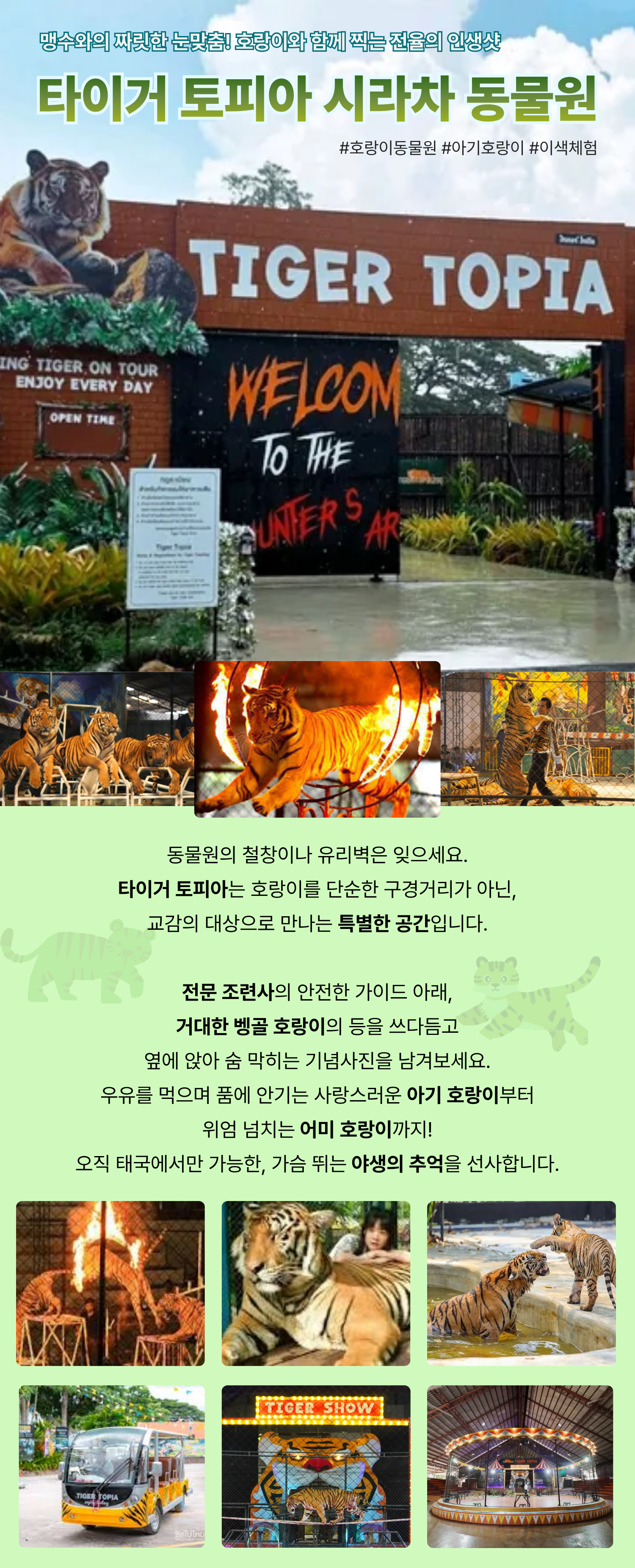 https://img2link.com/images/2026/04/28/3d7d9360a367e0fb750d10ce7385d20c.png