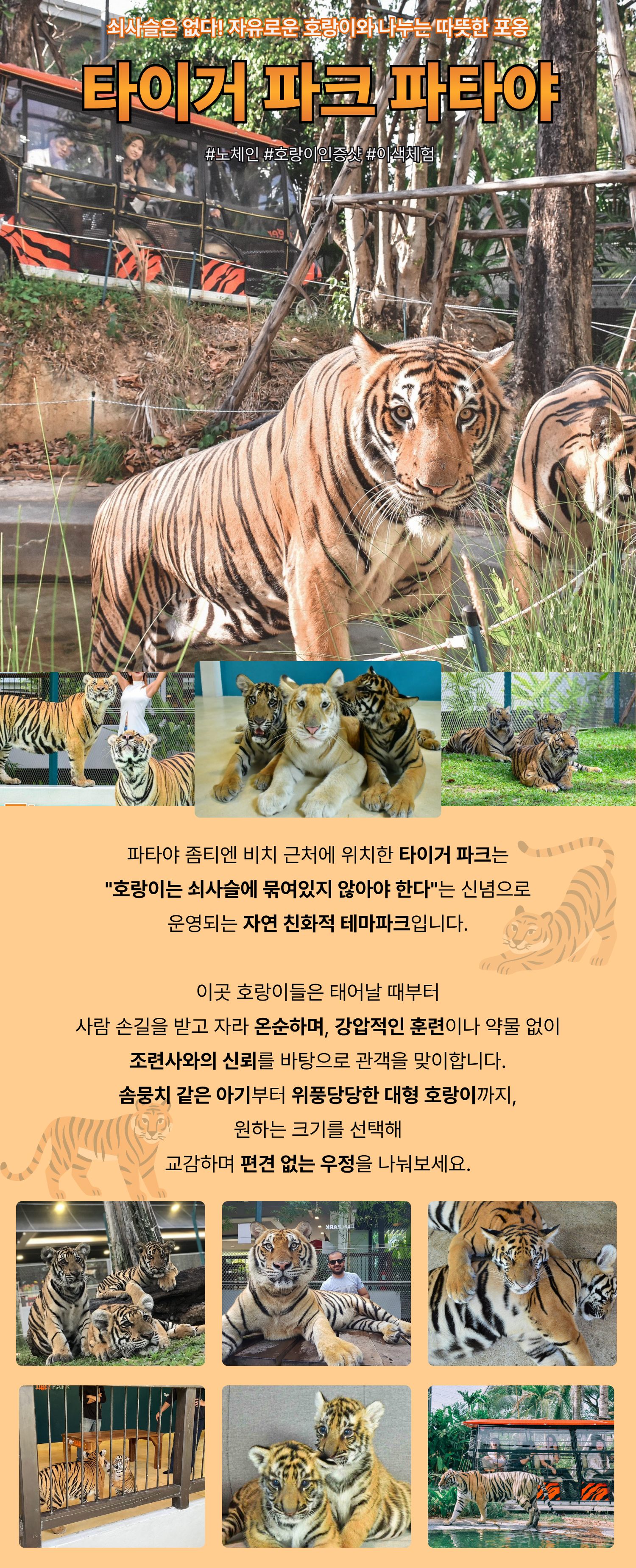 https://img2link.com/images/2026/04/28/a6066bd67f66cd1df1150302661ef422.png