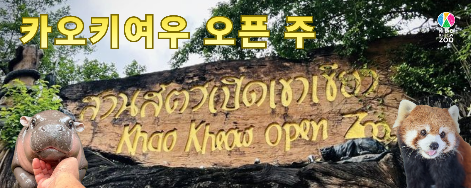 https://img2link.com/images/2026/04/28/d9abd84a443a8e25357b6632355c481c.png