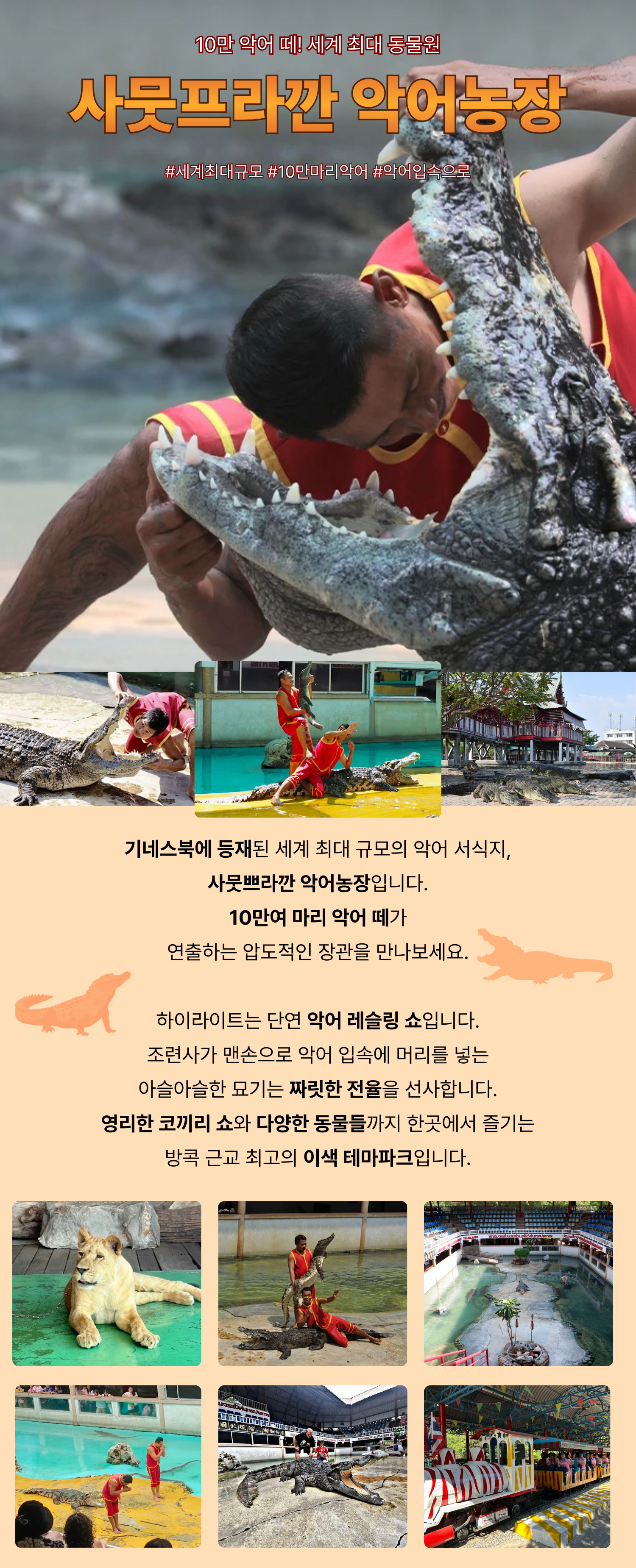 https://img2link.com/images/2026/04/28/ec4b1574a55553e1fc0d44b58e96bf36.png
